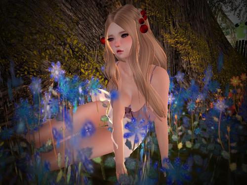 Web 5945740f73ed174cff000001