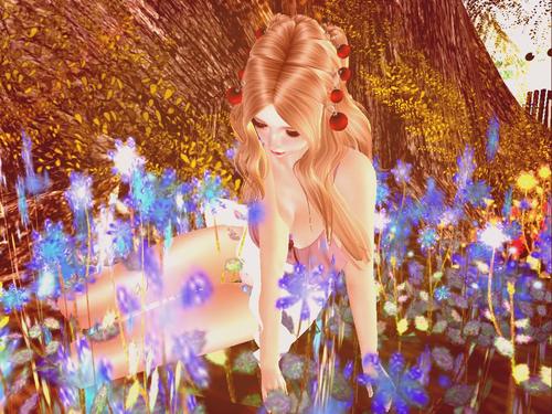 Web 59457443d774f86f6d000001