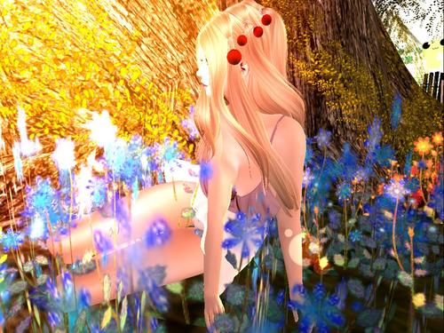 Web 5945745e289dd27aec000001