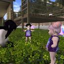 Thumb 5b915296d9859c392b000001