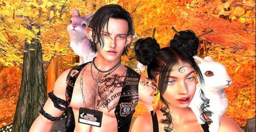 Web 632f2e4b80ec3a3a697b6e1b