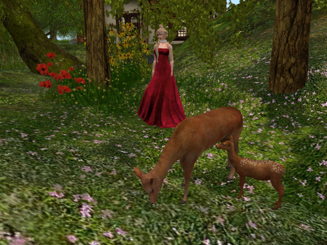 Original 5ae4f82f289dd209f6000001