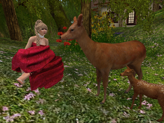 Original 5ae4f86fd9859c14fb000001