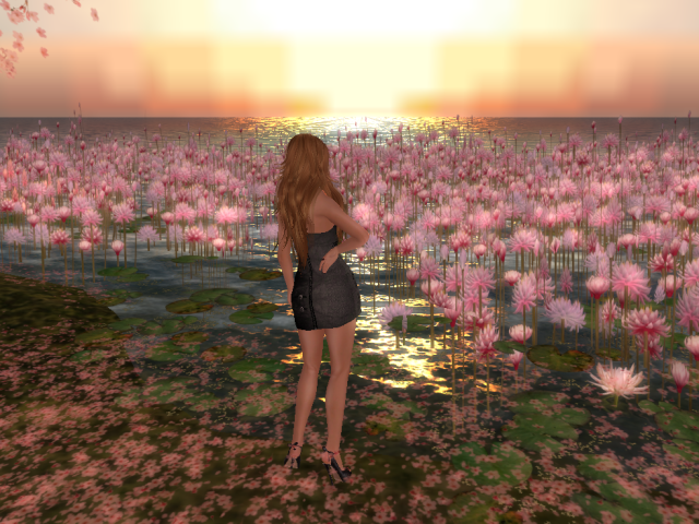 Original 5b04b068d774f87fa5000001