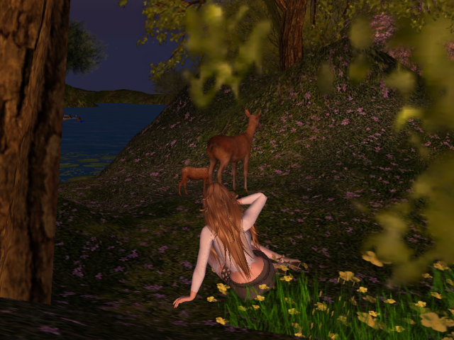 Original 5b18a585d9859c25db000001