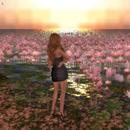 Thumb 5b04b068d774f87fa5000001