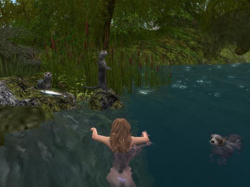 Web 5ac44b0b289dd20646000001