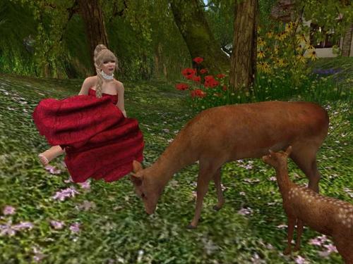 Web 5ae4f8a9d774f8509a000001