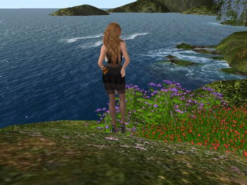 Web 5aebb923d9859c1d9a000001