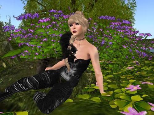 Web 5af52d52d774f814da000001