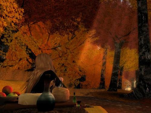 Web 5afa400ad774f81c5a000001