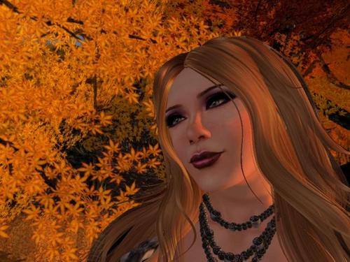 Web 5afa4565d9859c6ed6000001