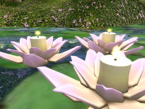 Web 5afcd394d774f87465000001