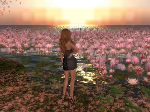 Web 5b04b068d774f87fa5000001