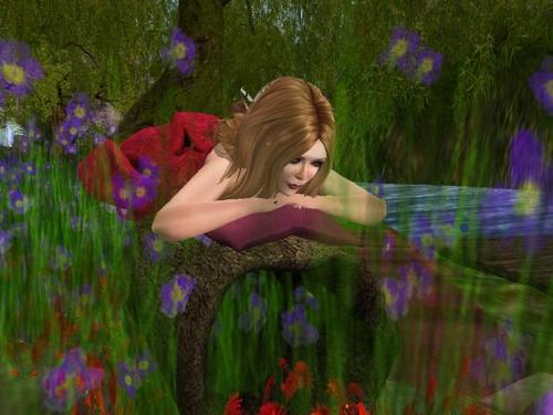 Web 5b071f5273ed173cb5000001