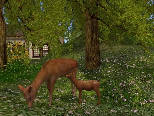 Web 5b0b876a73ed173412000001