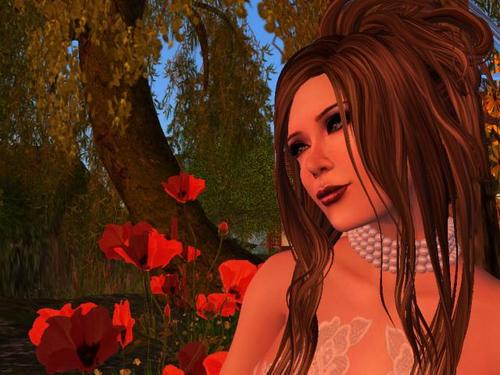 Web 5b38f44373ed177482000001