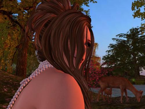 Web 5b38f55273ed177f39000001