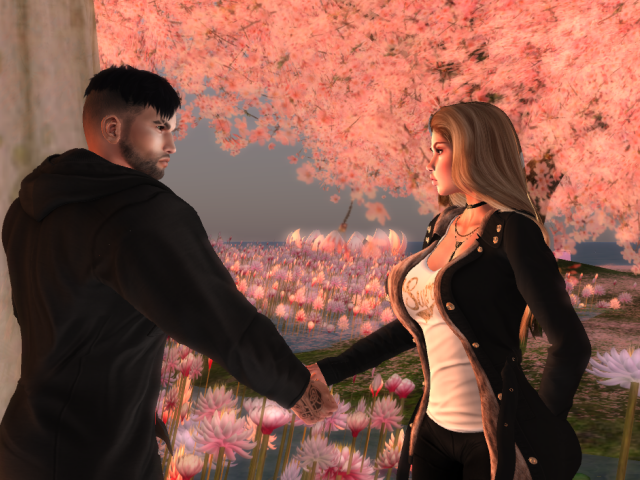 Original 5bff14ced774f82e58000001