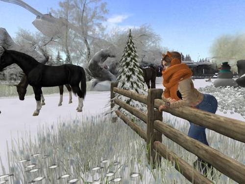 Web 61a1e5ded26018382b803929