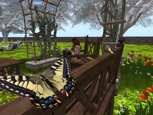 Web 61c45724ce14864b72e3d4c4