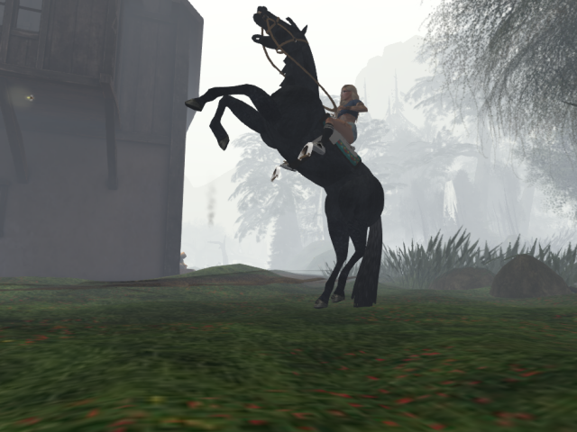 Original 58da26af289dd202ec000001