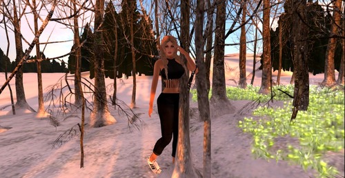 Web 584a9494b713f77f34000001