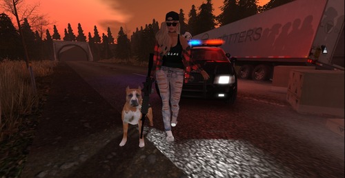 Web 589e4663f8a1ec412a000001