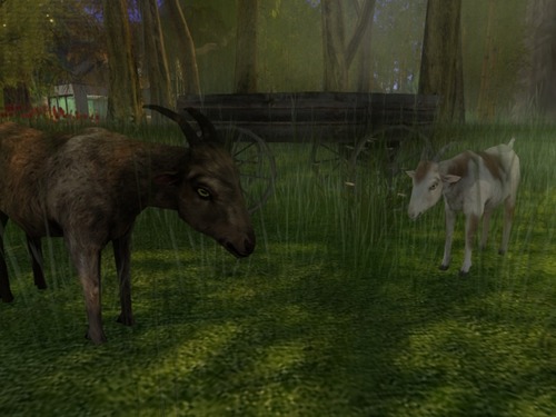 Web 58b1c7a8b713f71478000001