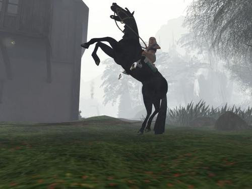 Web 58da26af289dd202ec000001