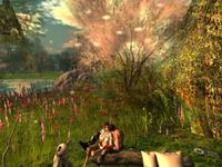 Small 59bd8786d9859c0634000001