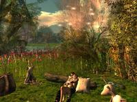 Small 59bd88ff73ed17303e000001