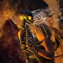 Thumb 59f8f75dd774f84171000001