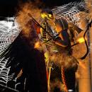 Thumb 59f8f7c4d9859c4f81000001