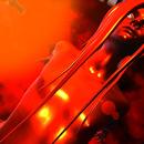 Thumb 5bd0d83ed774f855b2000001