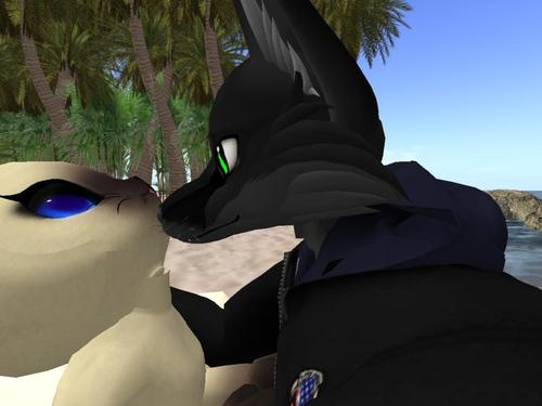 Web 5a09cff5d774f834d4000001