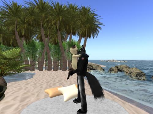 Web 5a09d111d774f83e2c000001