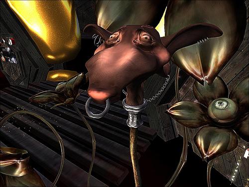 Web 5bd0dd05289dd2220a000001