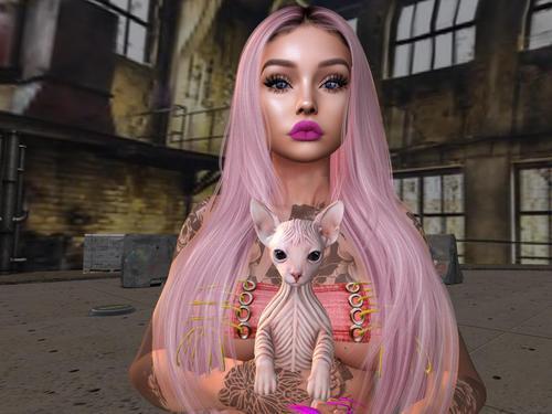 Web 5ede6d0f289dd254e0c41038