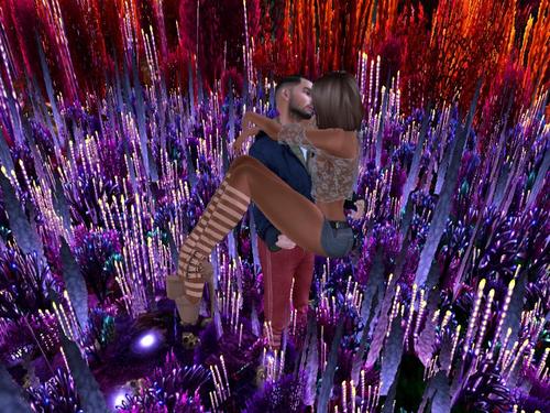 Web 5ab66ad0d774f86766000001