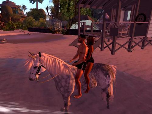 Web 5abe90e6289dd2222a000001