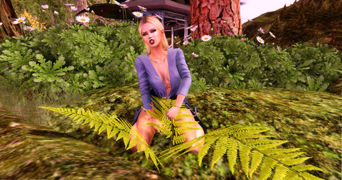 Web 664c27881ec76340abf13bab