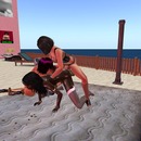 Thumb 584a6395b713f73cb0000001