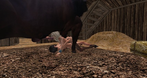 Web 584eda74b713f71ca3000001