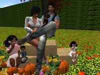 Small 5c45f69ed9859c1bc2000001