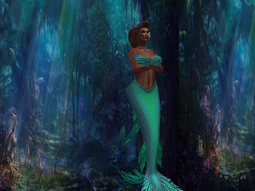 Web 5aff3c4bd774f84bcb000001