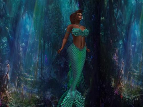 Web 5aff3c5e73ed173dd4000001