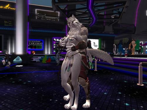 Web 5b1aae47d774f87ab5000001