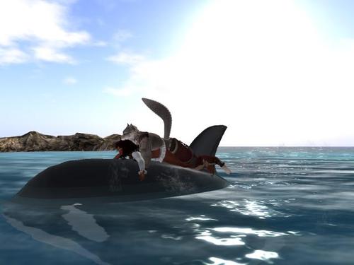 Web 5b1bdeb4d9859c730d000001