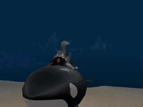 Web 5b1bded7d774f84df0000001